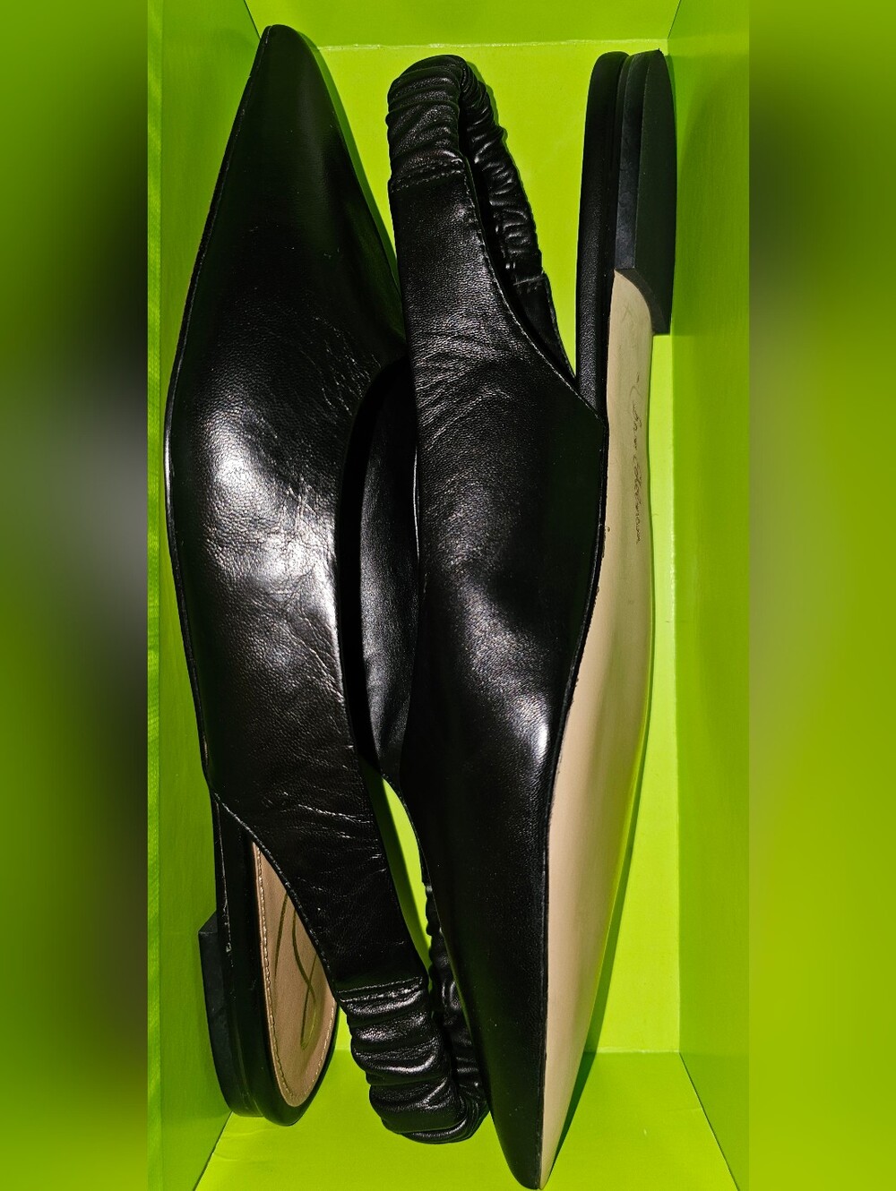 Sam Edelman, Whitney - Picture 6 of 6